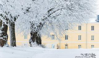 冬天的第一场雪作文 冬天的第一场雪作文