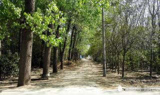 郑州国家森林公园