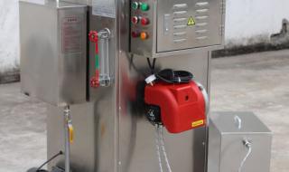 1吨燃气蒸汽发生器 1吨燃气蒸汽发生器